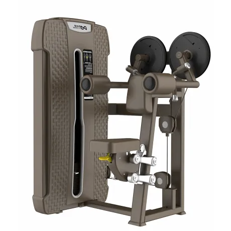 Дельт-машина DHZ Lateral Raise Стек 56 кг E-4005