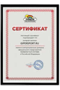 Сертификат официального дилера Rainbow Play Systems