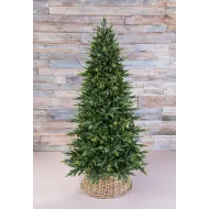 Триумф ель Королевская стройная 200 см зеленая