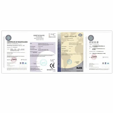 Беговая дорожка DFC LAND Pro T-925B - Фото 13