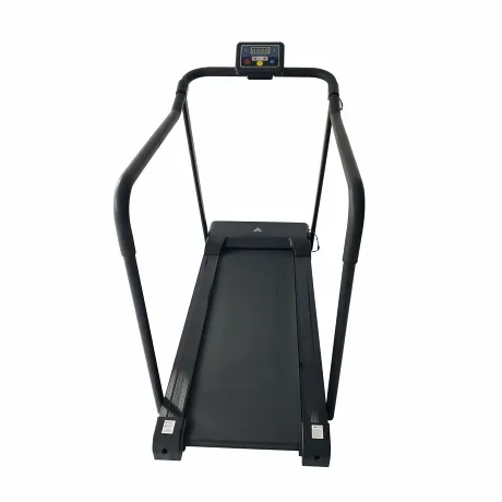 Беговая дорожка DFC WALKER T-W - Фото 4