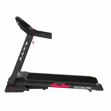 Беговая дорожка DFC ASCONA Pro T640 - Фото 3