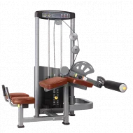 Сгибание ног лежа BRONZE GYM D-013A