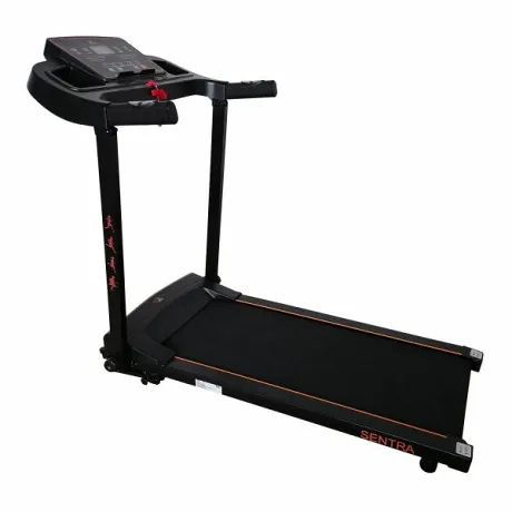 Беговая дорожка DFC SENTRA T123B - Фото 2
